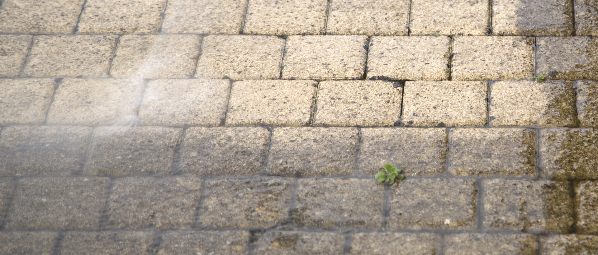 flagging and patios N16