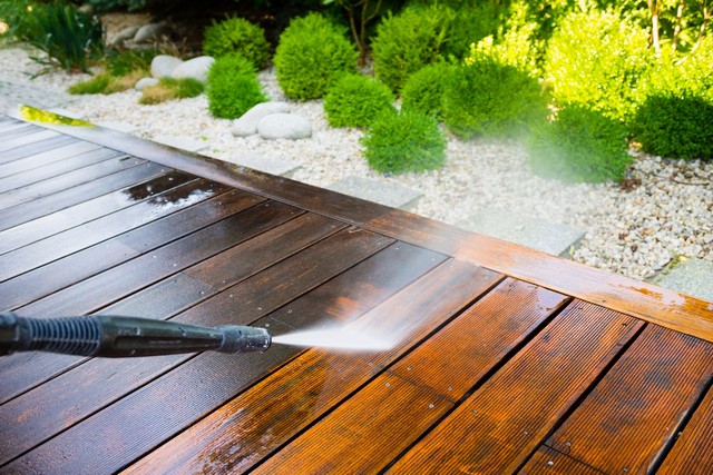 Garden Clearance Stamford Hill, Stoke Newington, N16