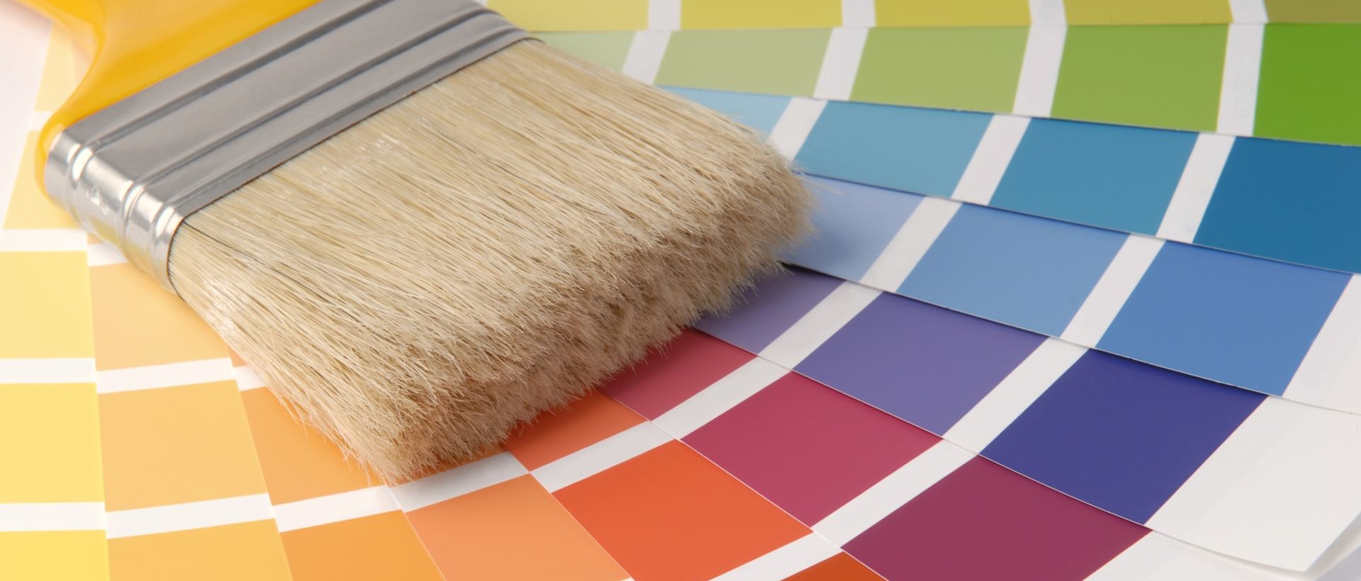 Painter N16